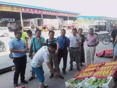 崖州区水南村将建350亩果蔬批发交易市场-财经频道-手机