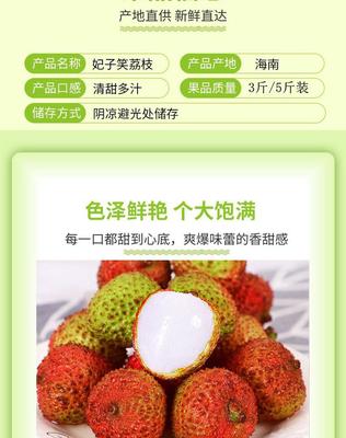 海南妃子笑荔枝新鲜现摘批发3斤装早熟水果果园整箱鲜果现发岭南
