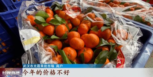 进口水果价格暴涨 而它却降价了,网友 根本停不下来