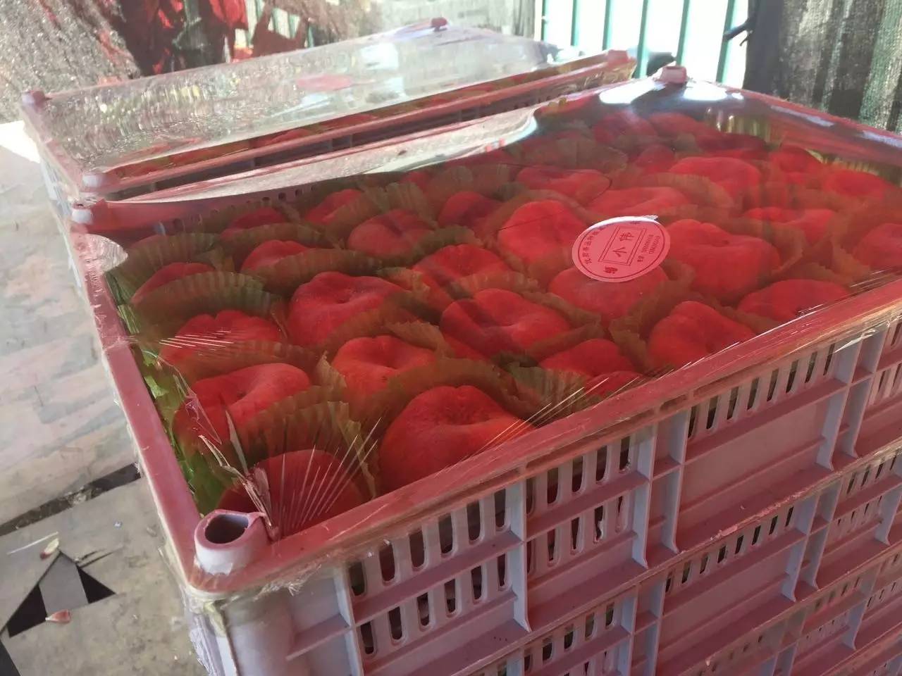 探·城│沈阳八家子——实拍东北最大的果品批发市场.