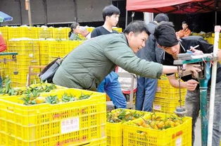 呕心整理 成都人年货采购地点最全攻略都在这 赶紧收藏
