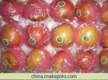 【杉木果品红富士大量批发】价格,厂家,图片,苹果,杉木果品杨孟合作社-