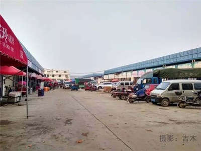 走进信阳最大的果品批发市场