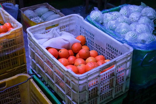 去天河仓库级水果批发市场,水果当饭吃