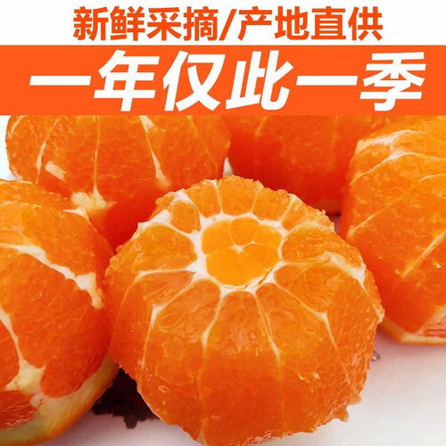 正宗四川青见柑橘水果新鲜整箱应季水果批发非丑橘沃柑