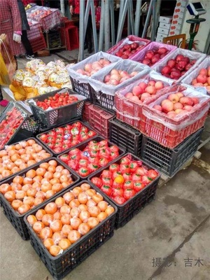 走进信阳最大的果品批发市场